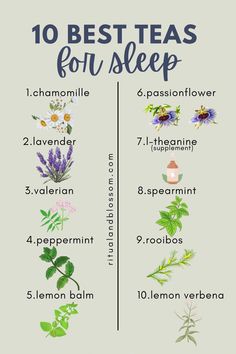 From chamomile's potent sleep enhancing qualities to the tranquil aroma of lavender, there's a bedtime tea to suit every preference. Teas For Sleep, Best Tea For Sleep, Herbs For Sleep, Tea Before Bed, Bedtime Tea, Best Teas, Spearmint Tea, Sleep Drink, Sleep Tea