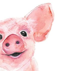 a watercolor painting of a pig's face with black eyes and pink cheeks