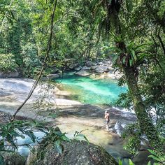 a man standing in the middle of a river surrounded by lush green trees and rocks