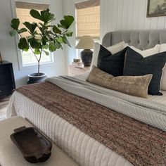 a bedroom with a bed, nightstands and a plant on the side of the bed