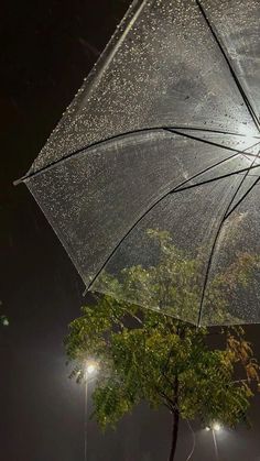 an open umbrella sitting next to a tree on a rainy night with street lights in the background