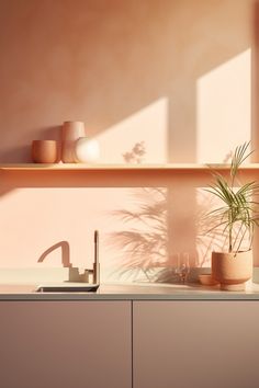 a kitchen sink with a potted plant next to it on top of a counter