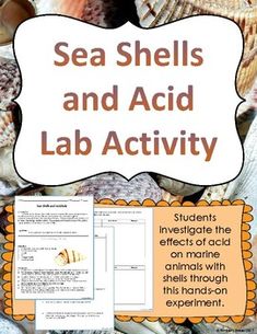 sea shells and acid lab activity for students to practice their science work on the ocean