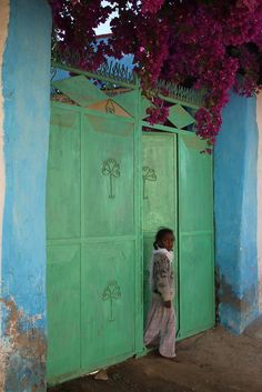 a young boy standing in front of a green door with purple flowers growing on it