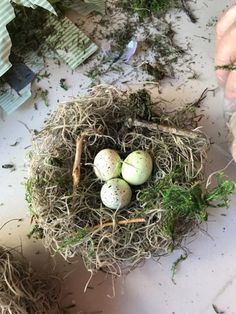 a bird nest with three eggs in it