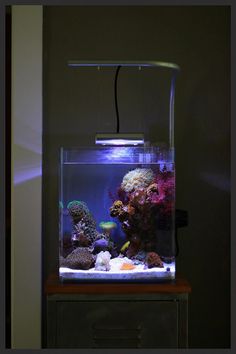 an aquarium is shown with its light on