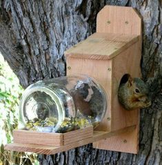 a squirrel is sitting on a bird feeder attached to a tree