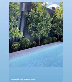 an empty swimming pool surrounded by trees and bushes