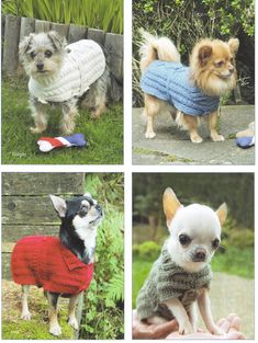 an advertisement for knits and pieces featuring small dogs in sweaters on their own