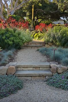 a stone path with steps leading to trees and flowers in the background, surrounded by gravel