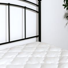 a white bed with black metal headboard and foot board next to a potted plant