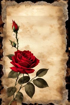 a red rose with green leaves on an old paper background