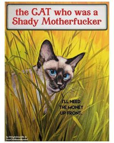 Cat Book, Illustrated Gift, Golden Book, Cat Books, Siamese Cats, Book Humor