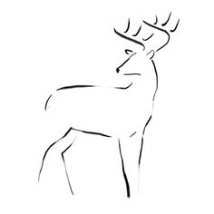 an ink drawing of a deer with antlers on it's head and neck