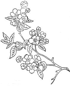 a branch with flowers and leaves on it