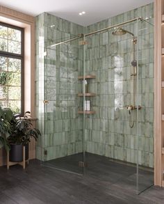 a walk in shower sitting inside of a bathroom next to a potted green plant