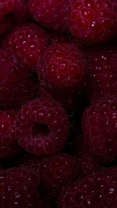 raspberries with water drops all over them