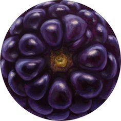 a painting of an eggplant on a white background