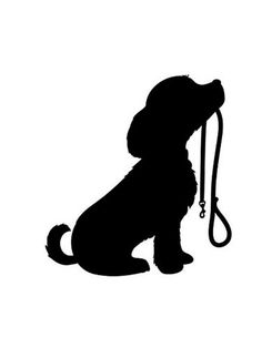 a dog with a leash in its mouth sitting down and looking up at the sky