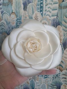 a person holding a white flower in their hand