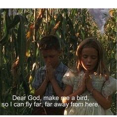 ;( Forest Gump Aesthetic, Forest And Jenny, Travel Humor Quotes, Comfort Movies