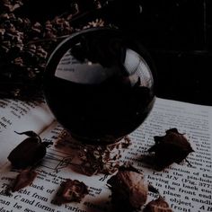 a dark purple seeing ball is sat on a gold holder on top of a book with dead leaves surrounding it, the image is dim and has a dark academia vibe Gabriel Nox Aesthetic, Black Obsidian Aesthetic, Bookish Images, Obsidian Aesthetic, Witch Beginner, Dark Witch Aesthetic, Tvdu Aesthetic, Hades Aesthetic, Pick An Outfit