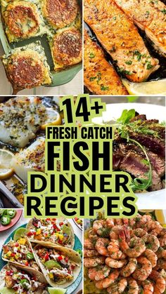 fresh catch fish dinner recipes that are easy to make and delicious for the whole family