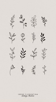 the different types of plants drawn in black ink on white paper with text that says, i