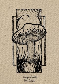 an ink drawing of a mushroom in the grass