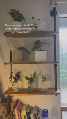 some shelves with plants and books on them