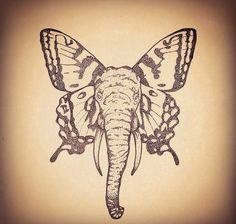 an elephant's head with a butterfly on it, drawn in pen and ink