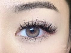 "The Ultimate Guide to Perfect Eyelash Extensions" Eyelashes For Asian Eyes, Asian Eyelashes Extensions, Hooded Eyes Extensions, Eyelash Extension Asian Eyes, Lash Extension For Hooded Eyes, Asian Eyelash Extensions Styles, Eyelash Extensions Styles Cat Eye, Lash Extensions Asian Eyes, Asian Lash Extensions