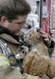 a fireman holding a cat in his arms