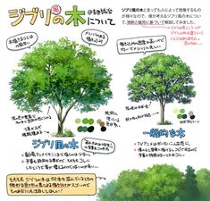 an image of some trees in different languages