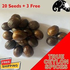 seed seeds for sale with free shipping