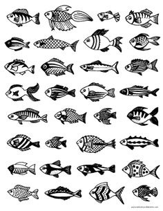 an image of different types of fish in black and white