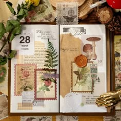 an open book with papers and stamps on it, surrounded by other items such as flowers