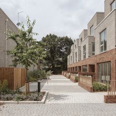 an empty walkway between two brick buildings with trees in the foreground and bushes on either side