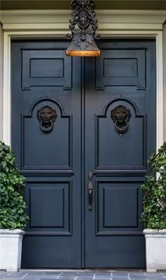 a blue door with two potted plants on either side and a light hanging above it