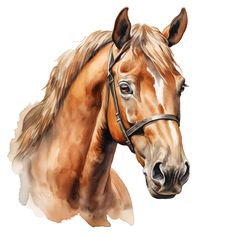 a painting of a brown horse on a white background