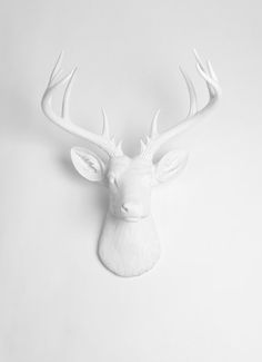 a white deer head mounted on the wall