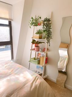 a bedroom with a bed, mirror and plant shelf