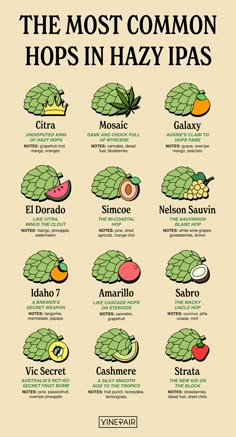 the most common hops in hazy pais infographia de pinter