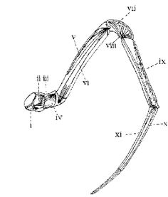 an image of a drawing of a bicycle handle