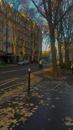 a man riding a bike down a street next to tall trees and leaves on the ground