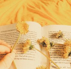 a person is reading a book with dried flowers on top of the book's pages