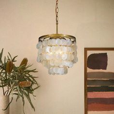 a chandelier hanging from the ceiling next to a potted plant on a table