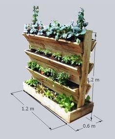 a wooden planter with plants growing on it and measurements in front of the image