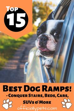 a dog sticking its head out the window of a car with text overlay top 15 best dog ramps conquer stairs, beds, cars, suvs, and more