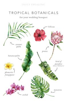 an illustrated guide to tropical botanicals for your wedding bouquet by truly encaping